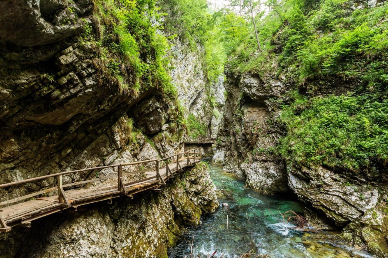 Villa Hillside Apartment Jesenice Dış mekan fotoğraf